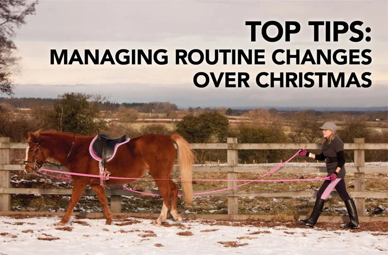 Top Tips: Managing routine changes over Christmas